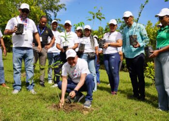 Voluntariado de los Centros Tecnológicos Comunitarios realiza jornada de reforestación